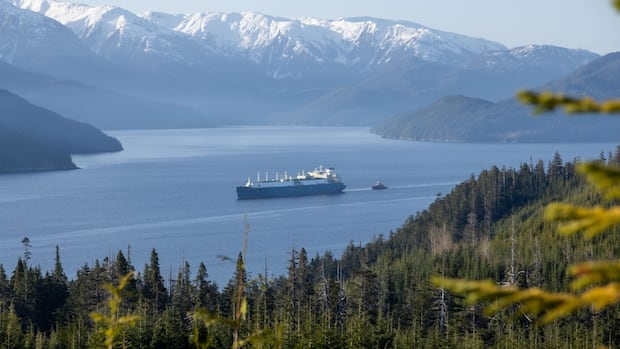 Carney recommending 5 'nation-building projects' for approval, including LNG expansion: sources