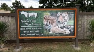 Tiger kills Oklahoma trainer linked to ‘Tiger King’ Joe Exotic