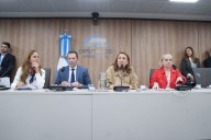 Diputados conformaron la Comisión por el fentanilo adulterado y convocarán a familiares de víctimas