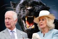 Panther Reportedly Spotted Around King Charles’ and Queen Camilla’s Estate