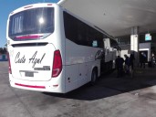 Robaron un colectivo de la terminal de Miramar