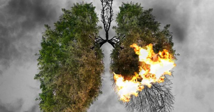 Darwin gas leak: Santos LNG hub's invisible danger