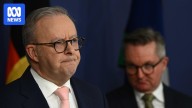 Republicans warn Anthony Albanese of 'punitive measures' over Palestinian recognition