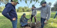 Universidad Panamericana llega a mil árboles plantados en reforestación universitaria