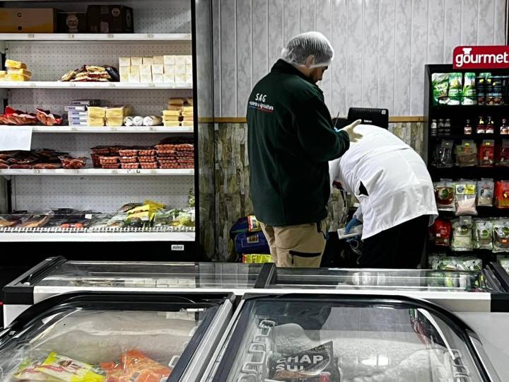 Puerto Aysén: Decomisan 308 kilos de carne en mal estado durante operativo de fiscalización