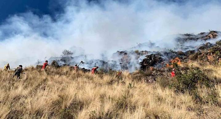 Las regiones más afectadas por incendios forestales: ¿Cuáles son?