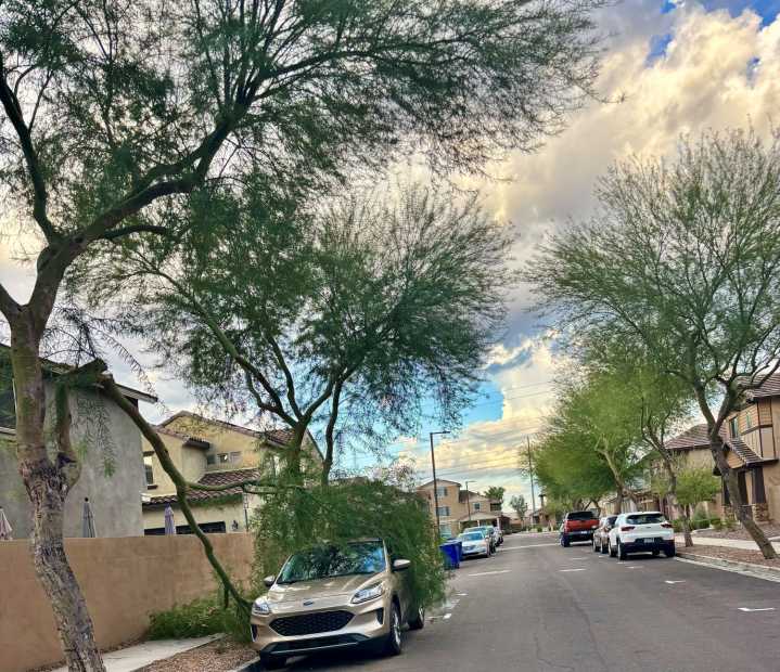 Arizona gets soaked by tropical storm remnants