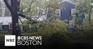 Tornado causes downed trees in Holden, Massachusetts