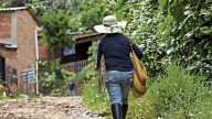 Insólita historia de funcionario judicial en Cauca para ausentarse: dijo sufrir problemas psiquiátricos y fobia a hospitales; tuvo sentencia ejemplar