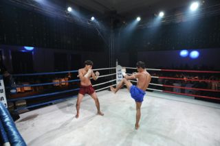 Observing Aggression and Learning From It