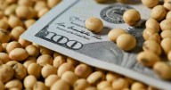 El Gobierno dio por terminado el alivio fiscal y volverá a cobrar retenciones a los granos y la carne