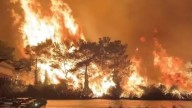 Horror moment flames engulf Turkey holiday hotspot as tourists evacuated from hotels & 800 firefighters battling blaze