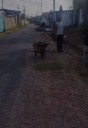 Poder Popular de la calle 6 en La Floreta inicia construcción de aceras y brocales