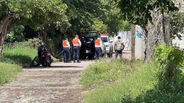 Colocan salchichas envenenadas para perros en Mihuacán y hombre en situación de calle resulta intoxicado