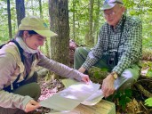 By listening to these birds for decades, scientists track signs of a changing forest