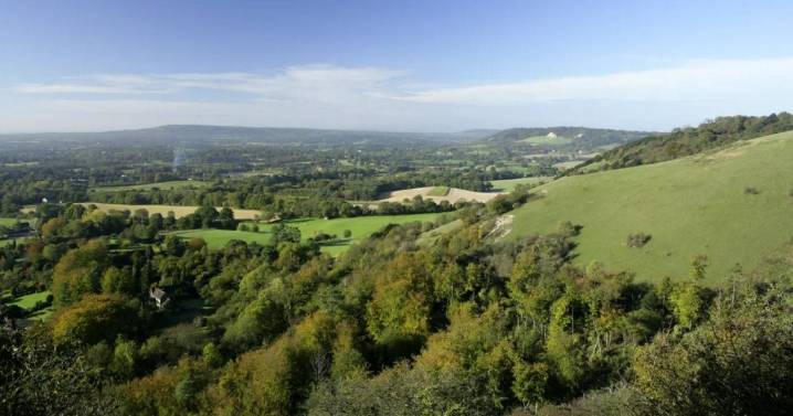 The beautiful London bus route starting in Croydon and taking you through National Trust site