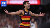 Adelaide Crows boosted by Josh Rachele return for AFL semifinal against Hawthorn Hawks