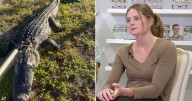 'I was just punching his head': Florida woman recalls gruesome alligator attack