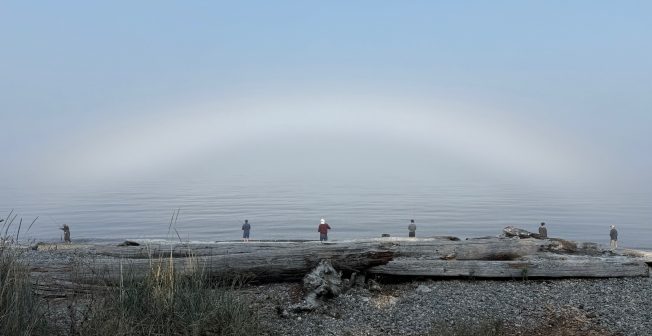 West Seattle Blog… | WEST SEATTLE SATURDAY: 31 notes