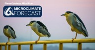Fall-like weather continues, with a slight warm up this weekend