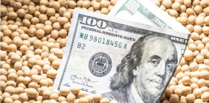 El precio de la soja da un salto en el mercado local
