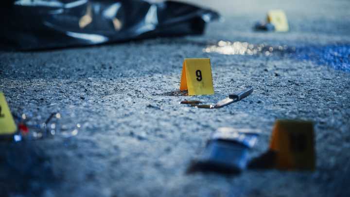 Claremont Stabber Mortally Wounds Man