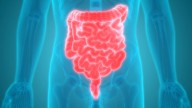Oral bacteria in the gut linked to Parkinson’s: New study uncovers alarming brain