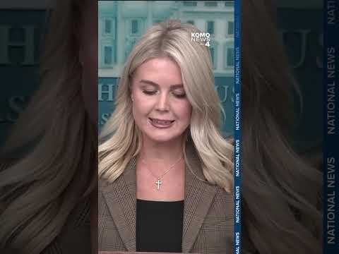 'Their data will be safe and secure': Karoline Leavitt on impending TikTok deal with the US