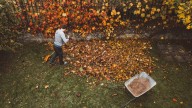 The secret to a clean yard this fall? These 9 yard tools