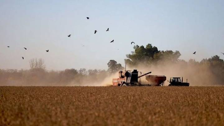 Fuerte malestar en el sector agrícola tras el final de las retenciones cero