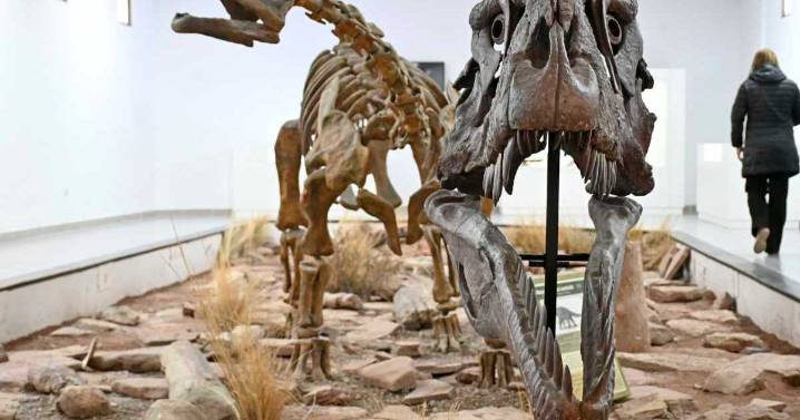 Una semana a puros fósiles: llega la quinta Jornada de Paleontología de la Cuenca Neuquina