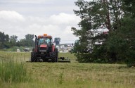 Curious Iowa: Why can’t Iowans mow roadsides before July 15?