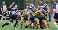Live: Kiama and Shoalhaven set for Illawarra rugby finale