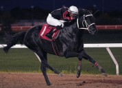 The ‘Queen,’ ‘Kings’ and ‘Prince’ rule the Downs