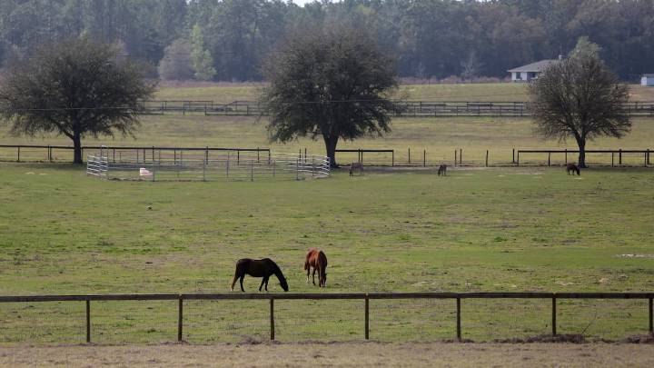 Rural Florida should be run by residents not developers