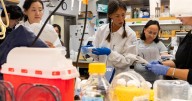 Federal judge orders Trump to restore $500 million in frozen UCLA medical research grants