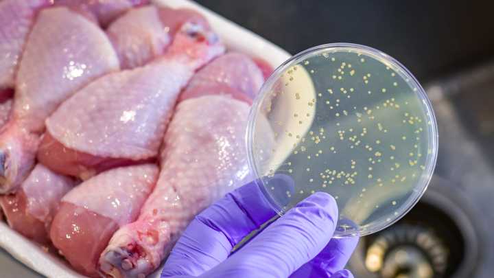 How Long It Really Takes For Food Poisoning To Show Itself