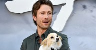 Glen Powell's Dog Becomes Talk of the Town As They Arrived For Jimmy Kimmel