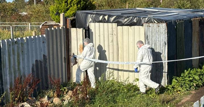 Body found at Middlesbrough's Town Farm Allotments as CSI teams called to site