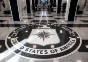 Chaos as ICE raid sends terrified construction workers scaling CIA fence