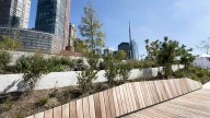 Mayor's race light on climate resiliency