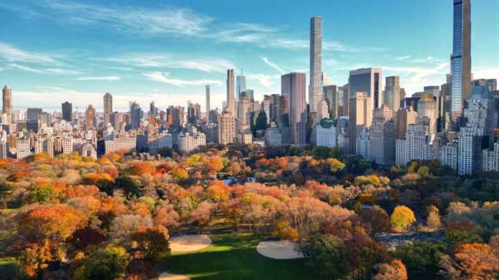 The Best Garden In New York City? It Might Not Be The One You're Expecting