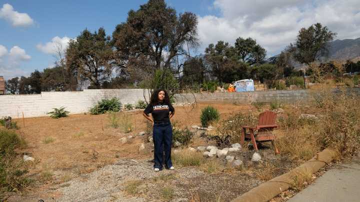 This young Altadenan wants to preserve the stories of Altadena’s trees