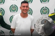 Impactante incidente en Colombia: Hombre desata el horror al decapitar palomas con sus dientes en un parque público