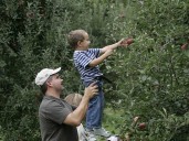 Monday Memories: Picking a peck of perfect apples wasn’t a problem with a boost from dad