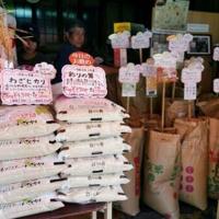 Japan inflation slows in August, rice price surges ease