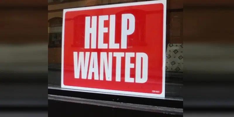 Employment Levels Drop in August