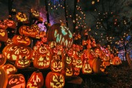 Thousands of pumpkins will hit the Minnesota Zoo as the Jack