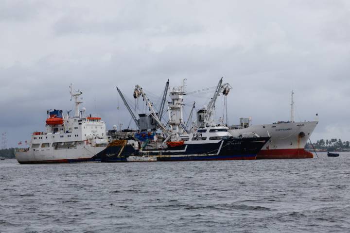 WTO global agreement aimed at reducing overfishing takes effect 3 years after its adoption
