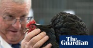 ‘Just stunning’: nothing paltry about these show